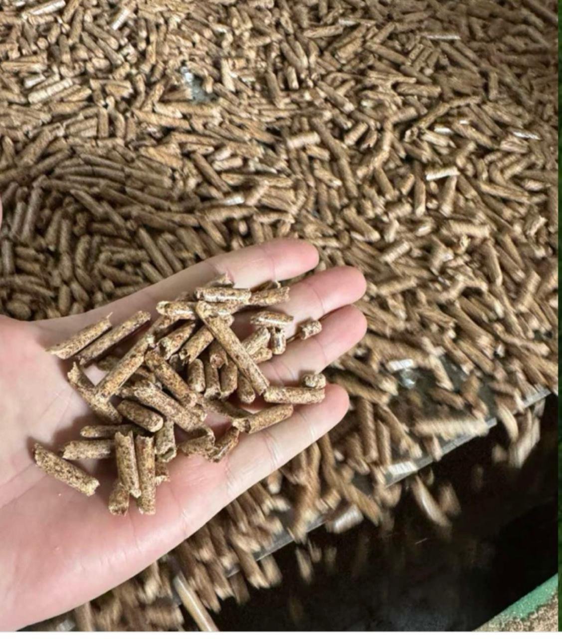 Grand Pellets